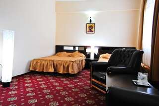 Отель Hotel Magic Trivale Питешти Стандартный двухместный номер с 1 кроватью-10